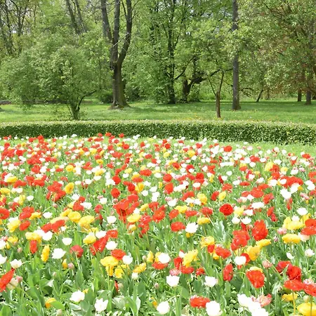Elegant Park Skaryszewski Warsaw
